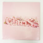 未開封 ClariS Single Best 1st 完全生産限定盤 2枚組 レコード 高価買取！