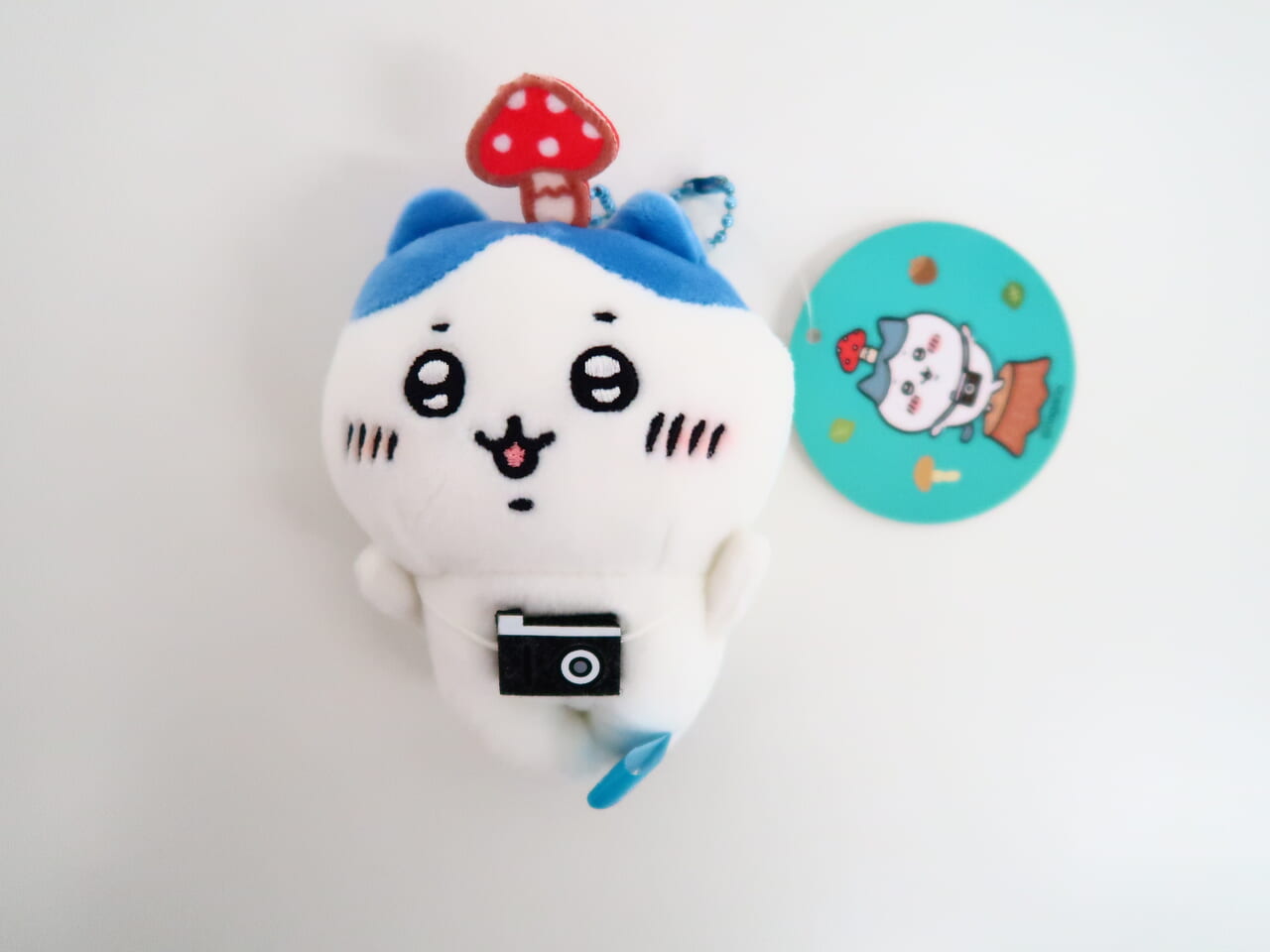 買取強化中】ちいかわ グッズ | いーすとえんど！