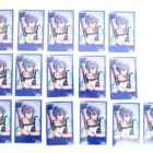 16枚 小柳ロウ HEROES 1st Anniversary ランダムチェキ風カード Dytica